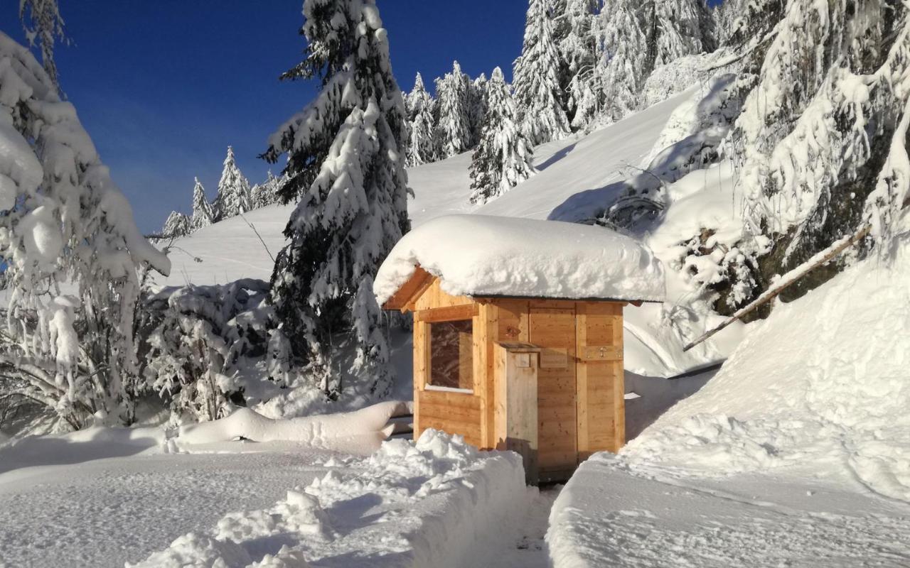 Chalet Panorama Himmelreichhof San Candido Ngoại thất bức ảnh